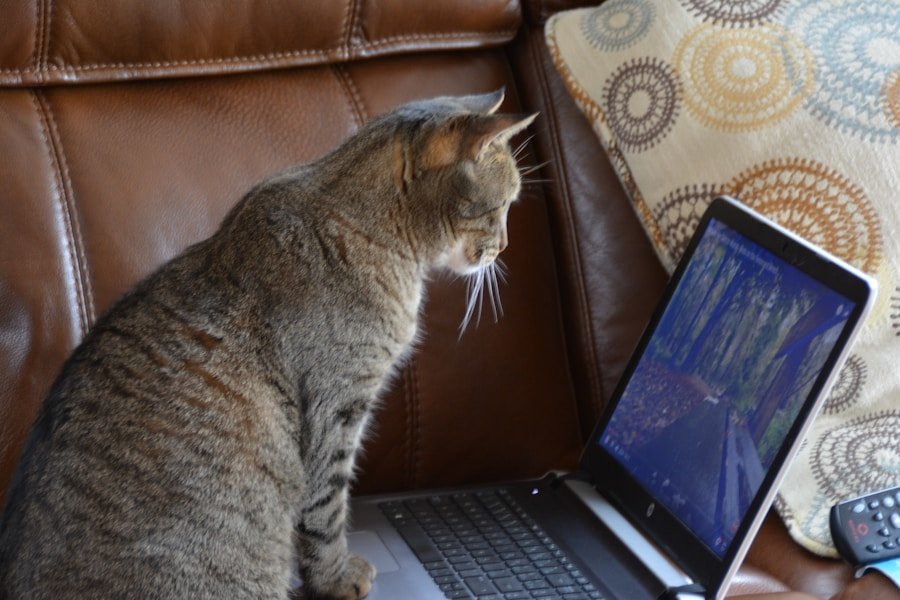 Photo "best indicator in tradingview"
