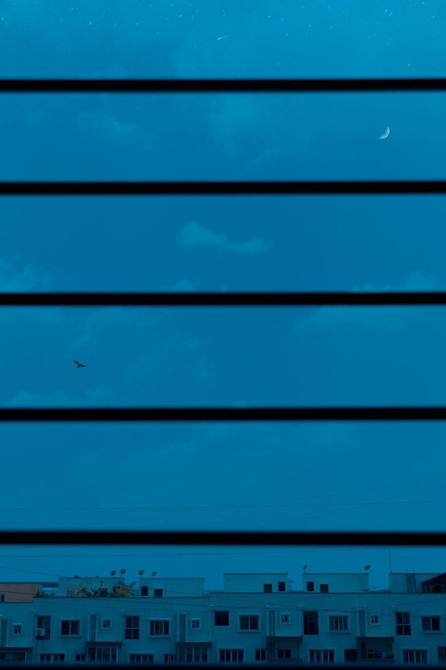 Photo "strat trade"