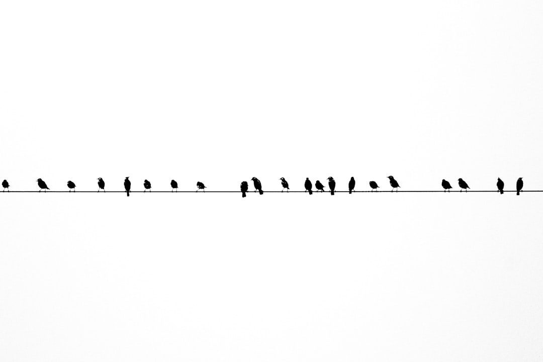 Photo Line graph