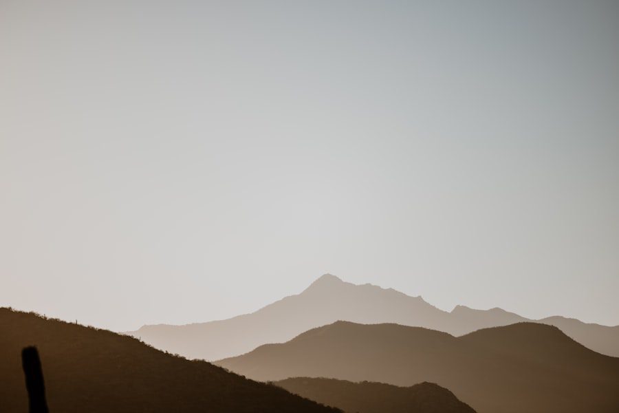 backtesting